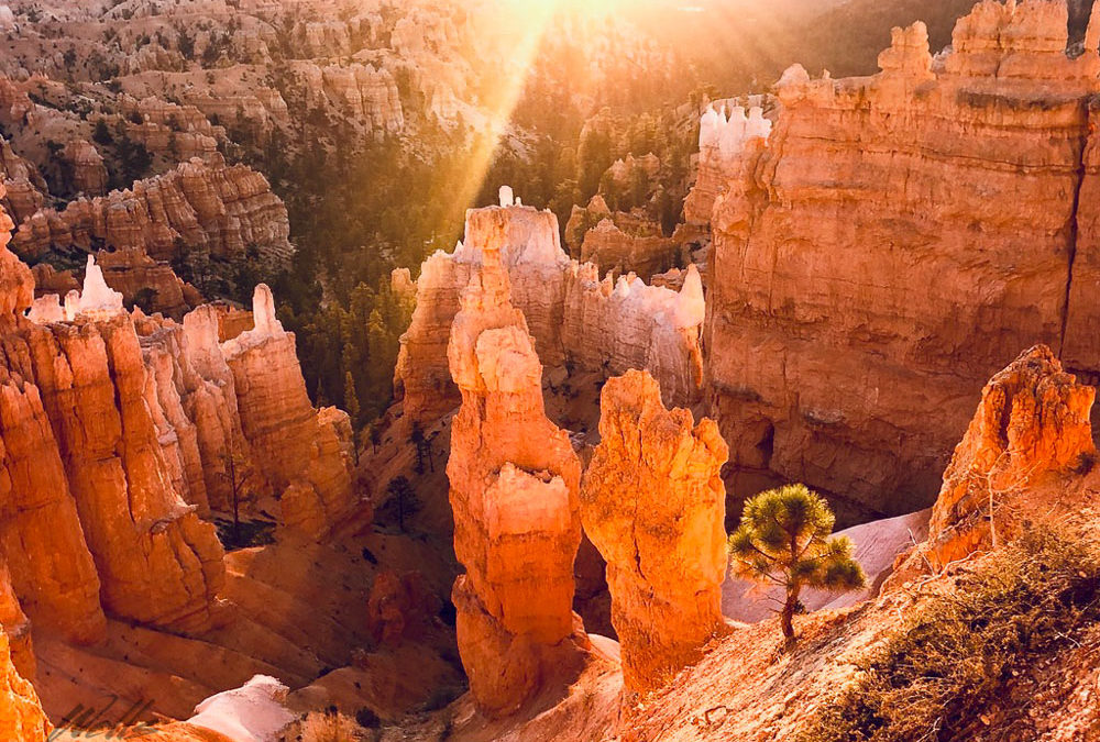 Bryce Canyon