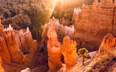 Bryce Canyon