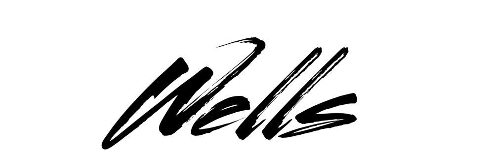 Wells Family Travels